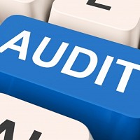 audit intern