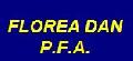 FLOREA DAN EXPERT CONTABIL PFA