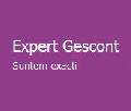 SC EXPERT GESCONT SRL