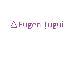TUGUI EUGEN EXPERT CONTABIL